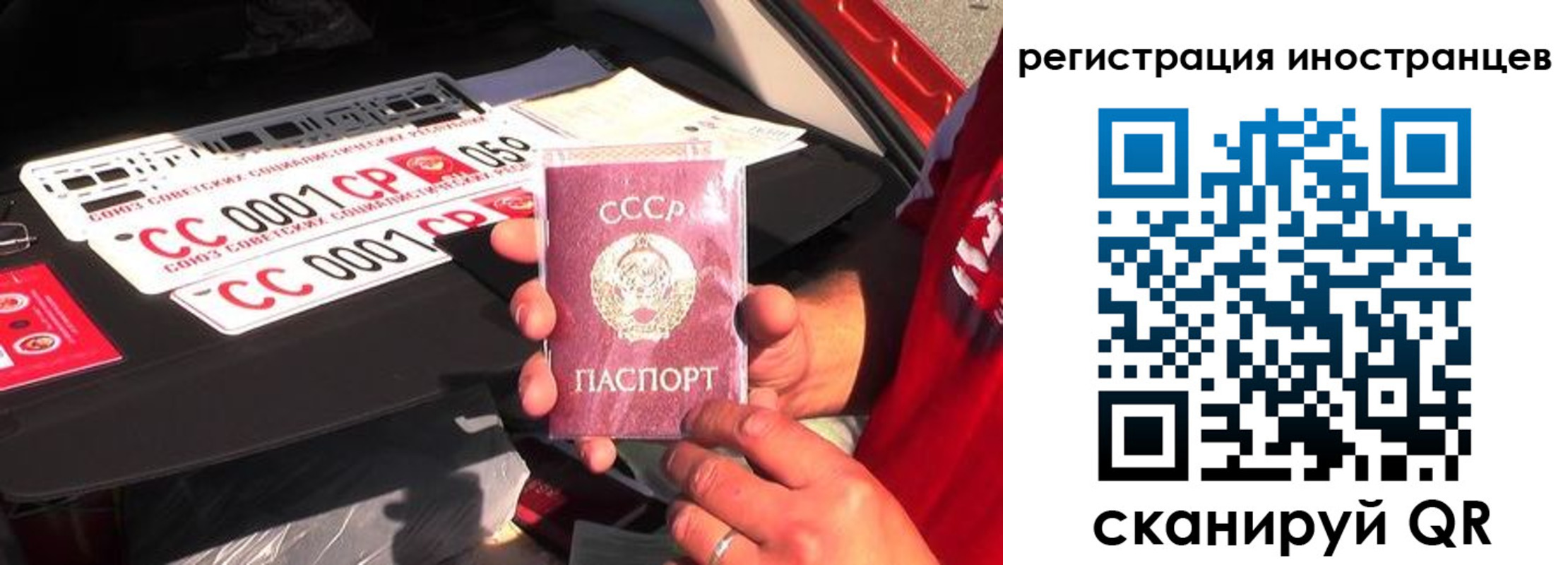 прописка гарантия в Клине